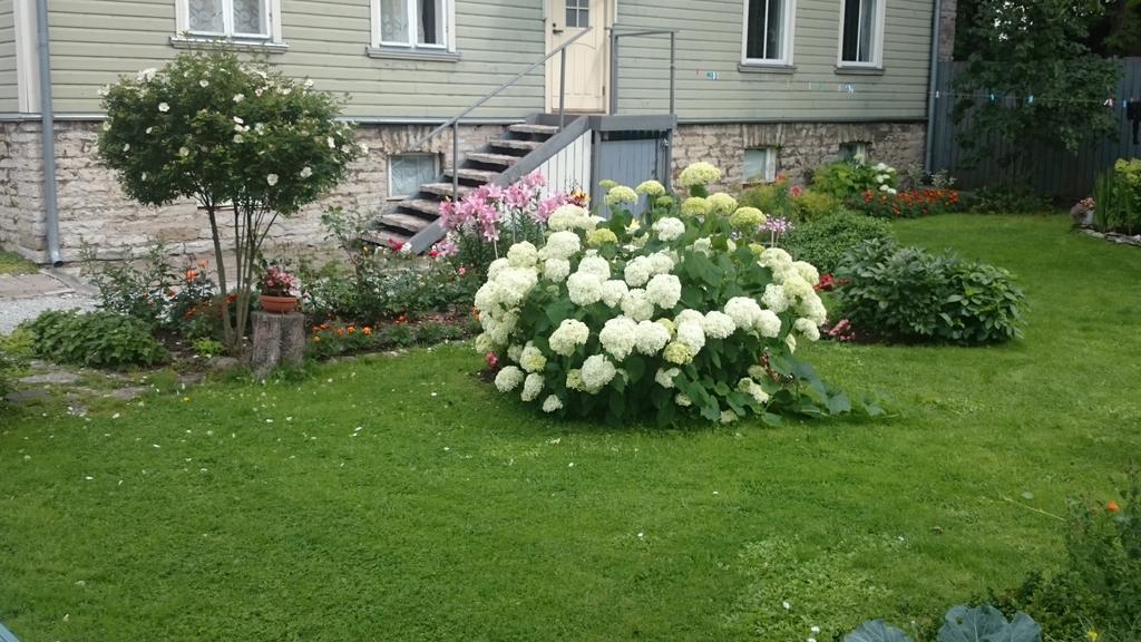 טאלין Matrix Garden Apartments חדר תמונה