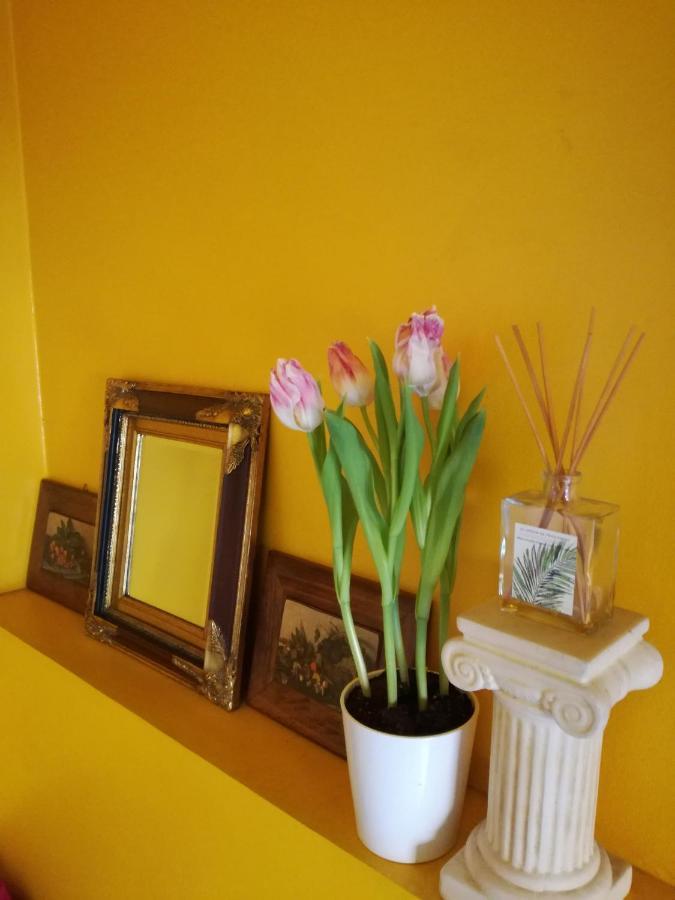 טאלין Matrix Garden Apartments מראה חיצוני תמונה